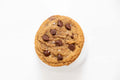 Double Chocolate Chip Cookie
