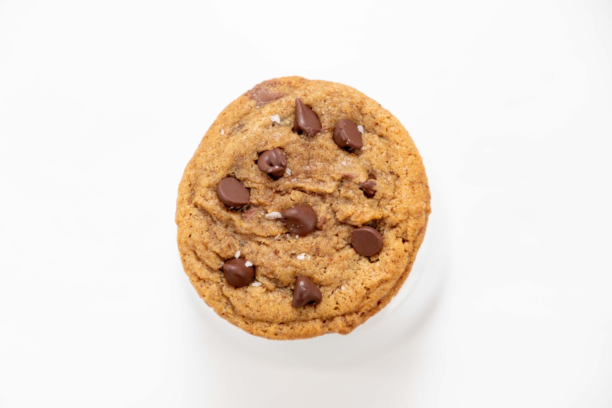 Double Chocolate Chip Cookie