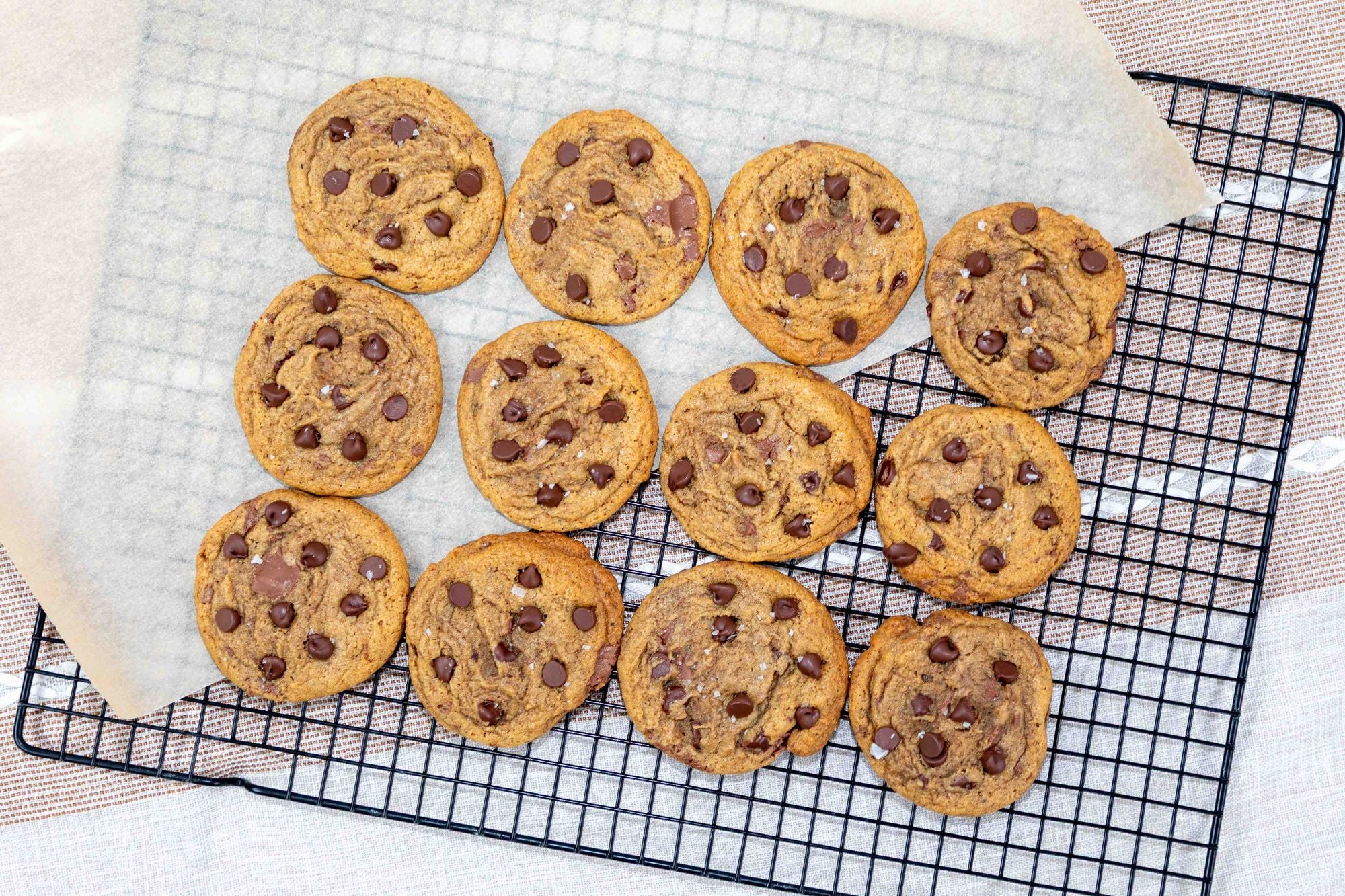 Double Chocolate Chip Cookie