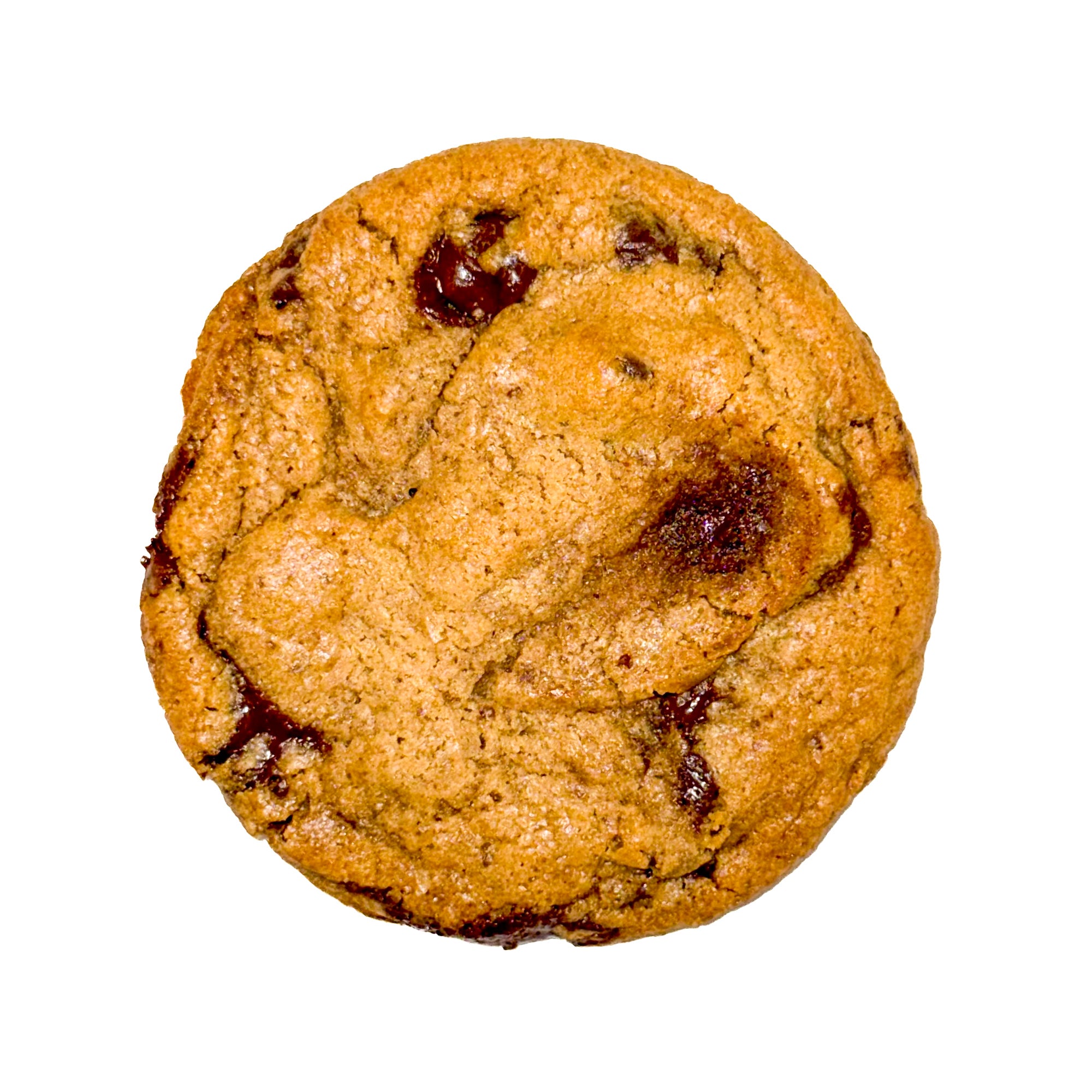 Chocolate Chip Cookie (GS, V)